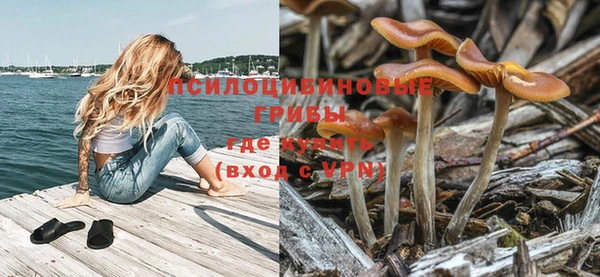 ГАЛЛЮЦИНОГЕННЫЕ ГРИБЫ Гусь-Хрустальный