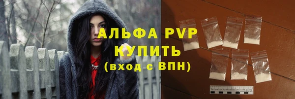 ГАЛЛЮЦИНОГЕННЫЕ ГРИБЫ Гусь-Хрустальный
