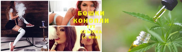 ГАЛЛЮЦИНОГЕННЫЕ ГРИБЫ Гусь-Хрустальный