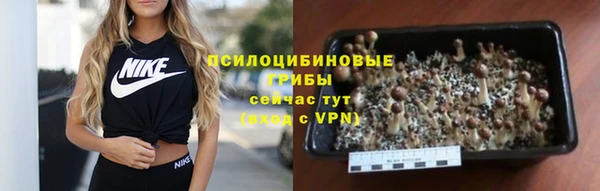 кокс Гусиноозёрск