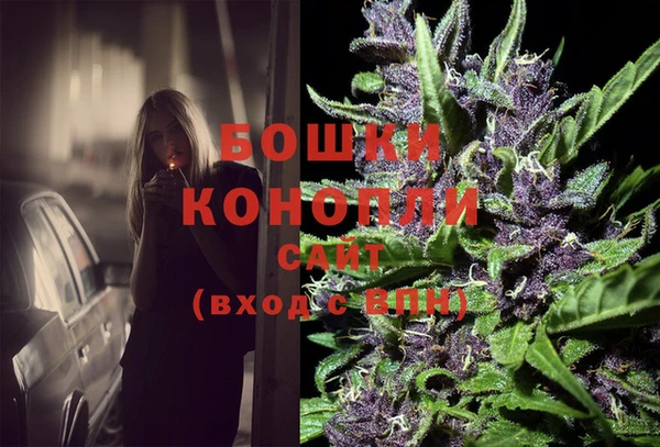 ГАЛЛЮЦИНОГЕННЫЕ ГРИБЫ Гусь-Хрустальный